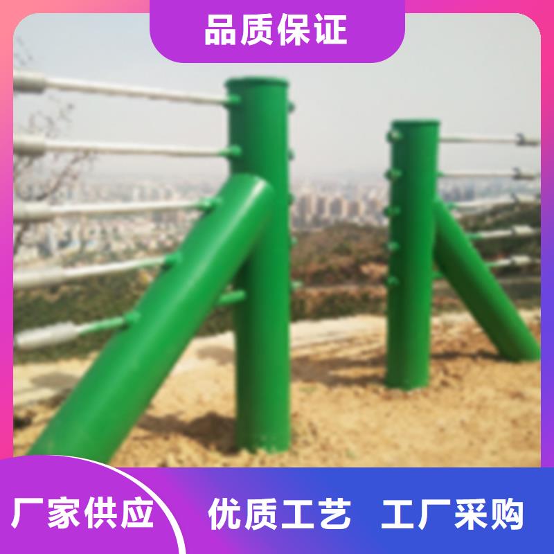 规格齐全的不锈钢绳网	厂家品牌大厂家
