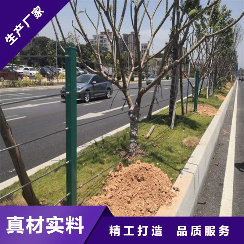 绳索护栏图片库存充足优良材质