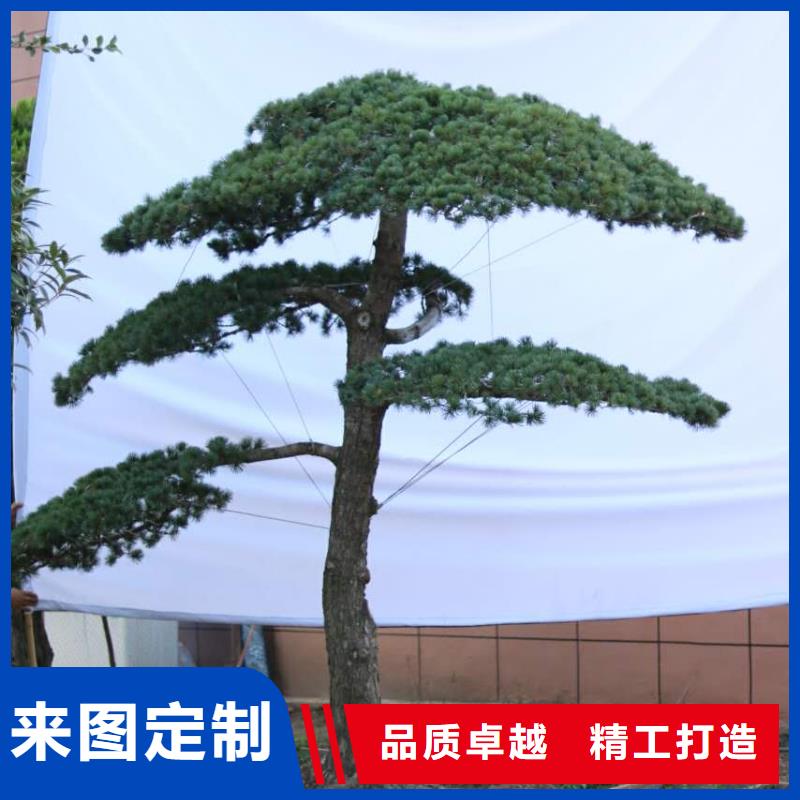 万宁市泰山松常年现货当地生产厂家