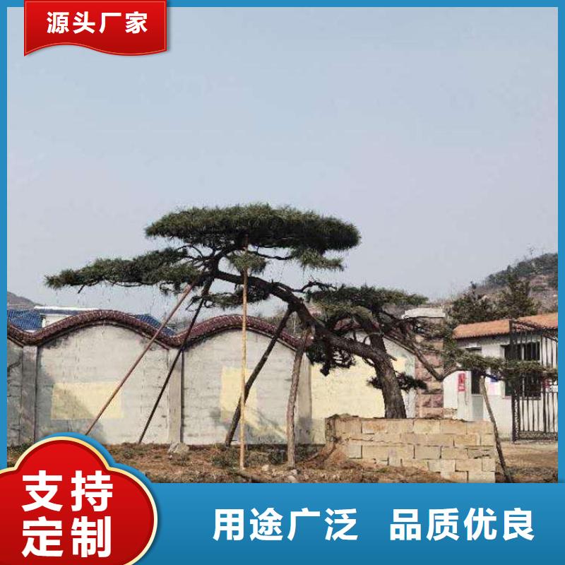 造型松公司地址出厂严格质检