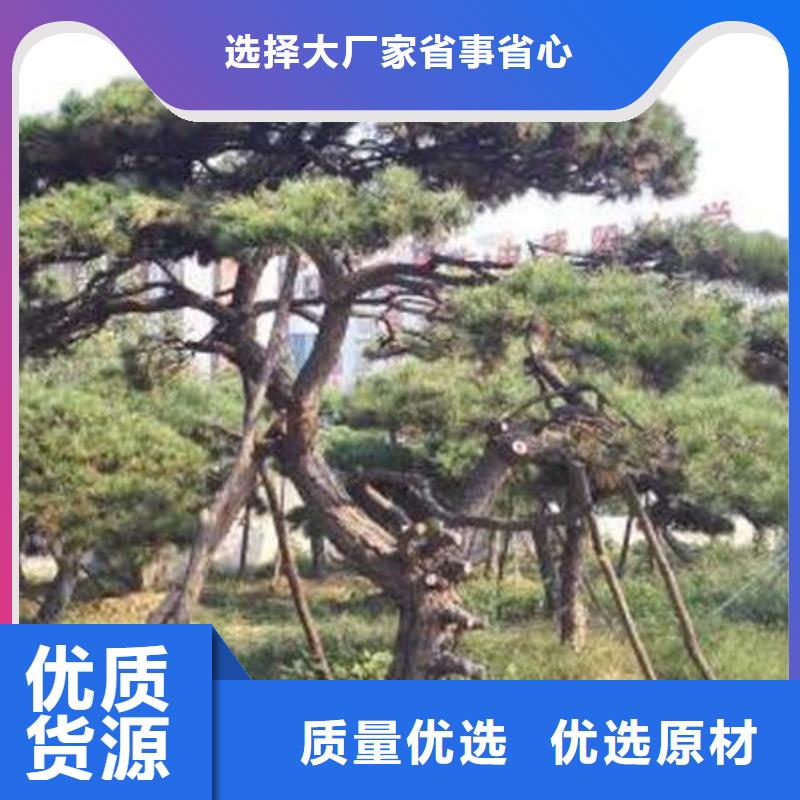济源市泰山松铸造金品当地服务商