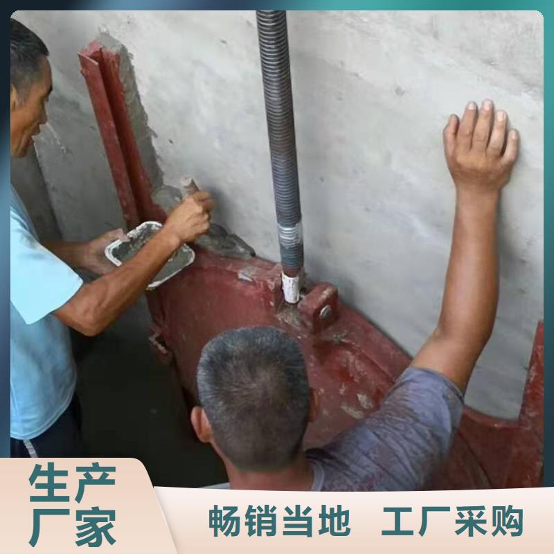 水电站铸铁闸门免费提供咨询欢迎来电咨询