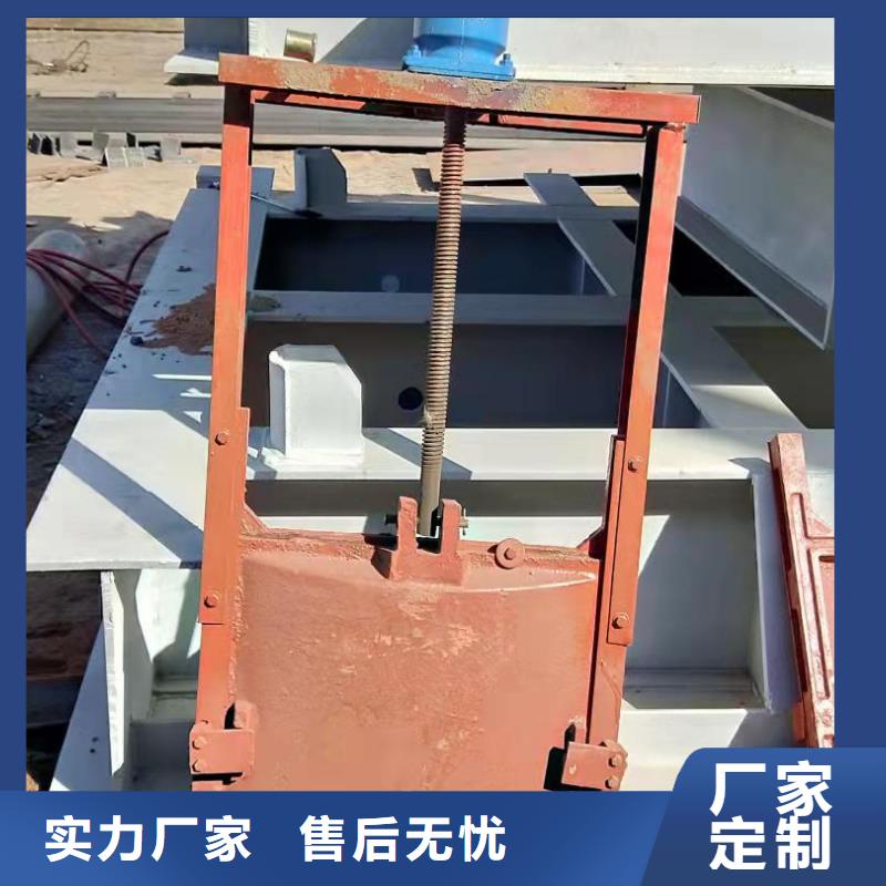 镶铜铸铁闸门工厂直销厂家货源稳定