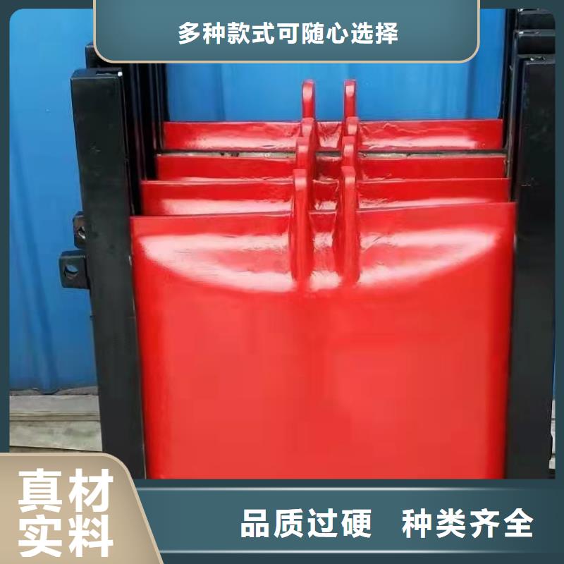 手提铸铁闸门支持定制专业信赖厂家