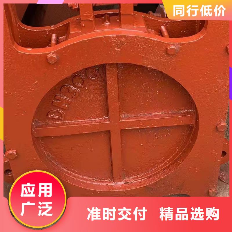 机闸一体式铸铁闸门免费提供咨询琼中县本地厂家