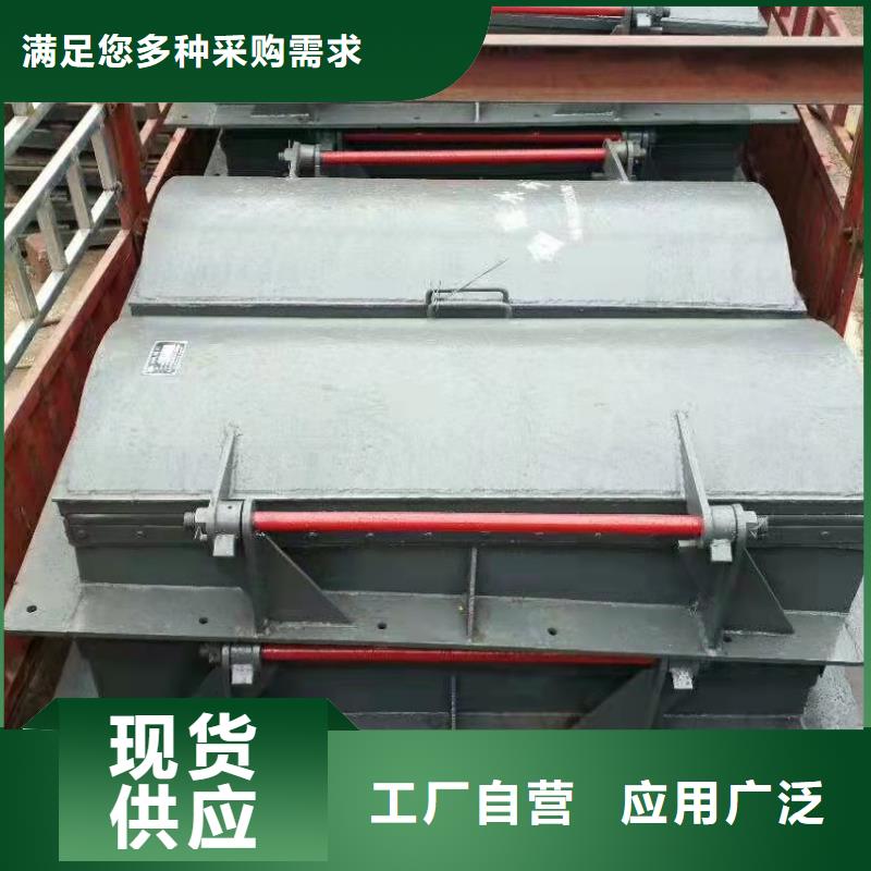 景观钢闸门生产厂家本地制造商