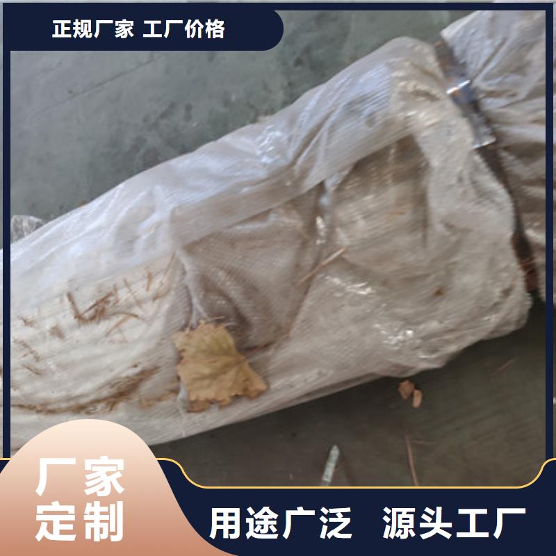 沿海不锈钢防撞栏杆服务好价更优老品牌厂家