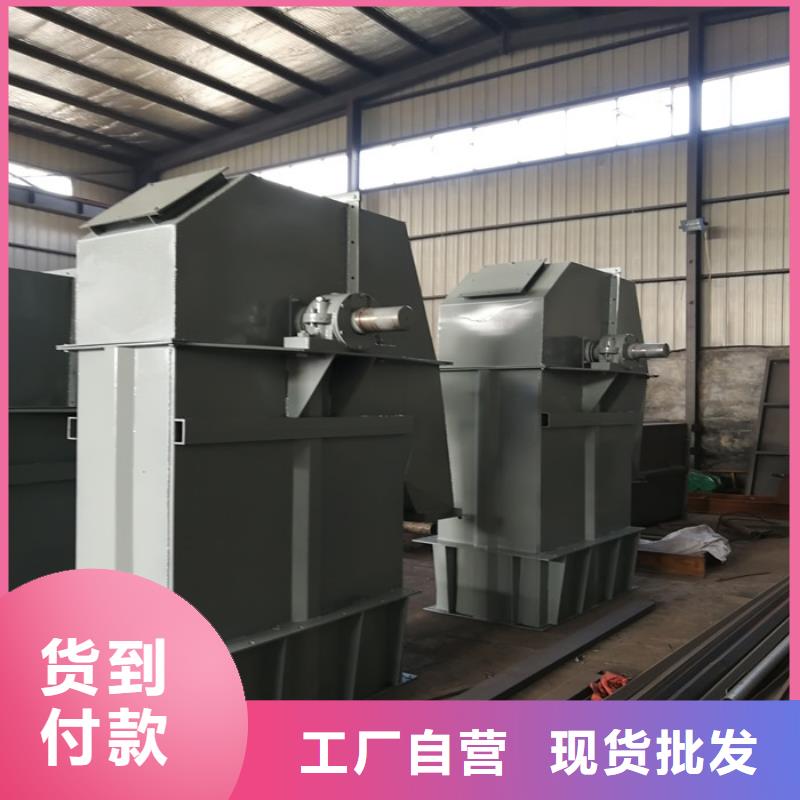 TD315斗式机价格来厂考察当地公司
