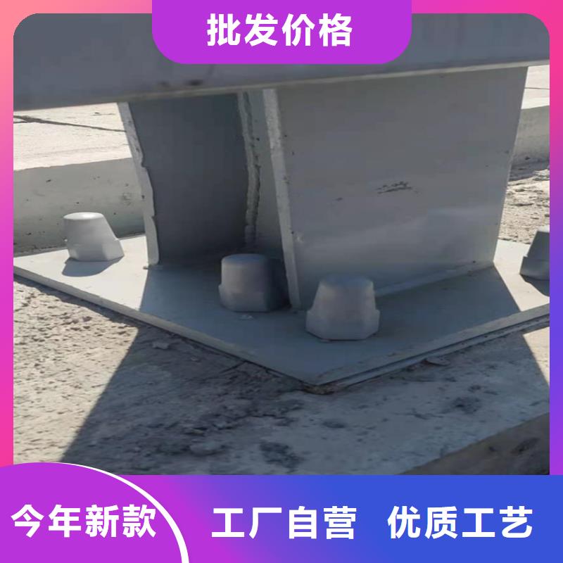 政道路护栏定河道铁链护栏同城厂家