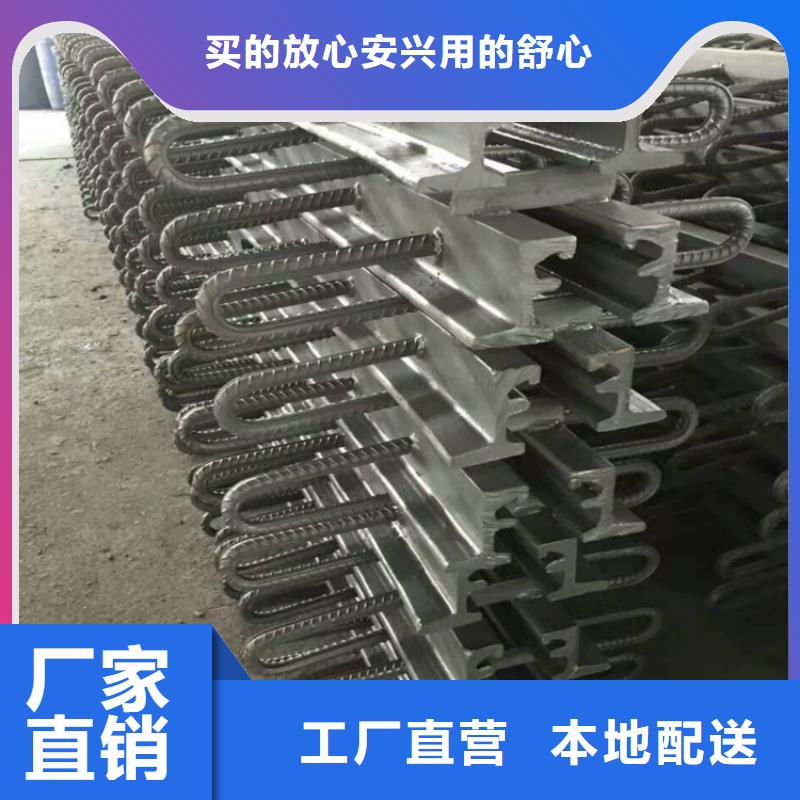 毕节定制GQF-D60模数式伸缩缝的批发商