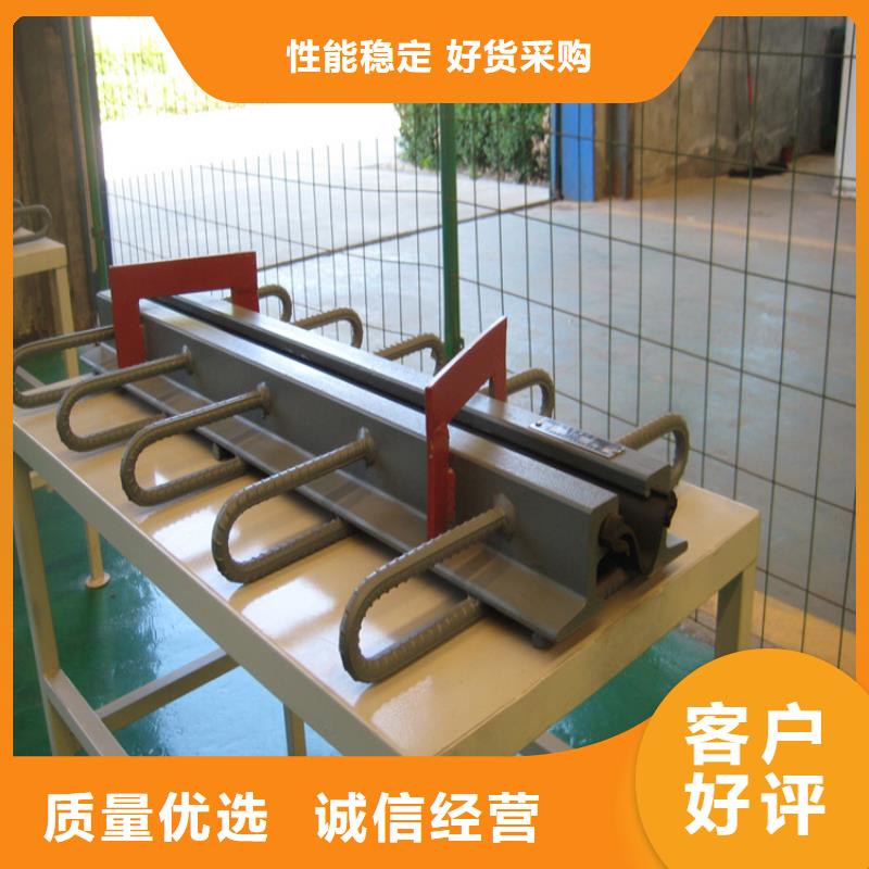 经验丰富的SSFB80模数式伸缩缝基地精益求精