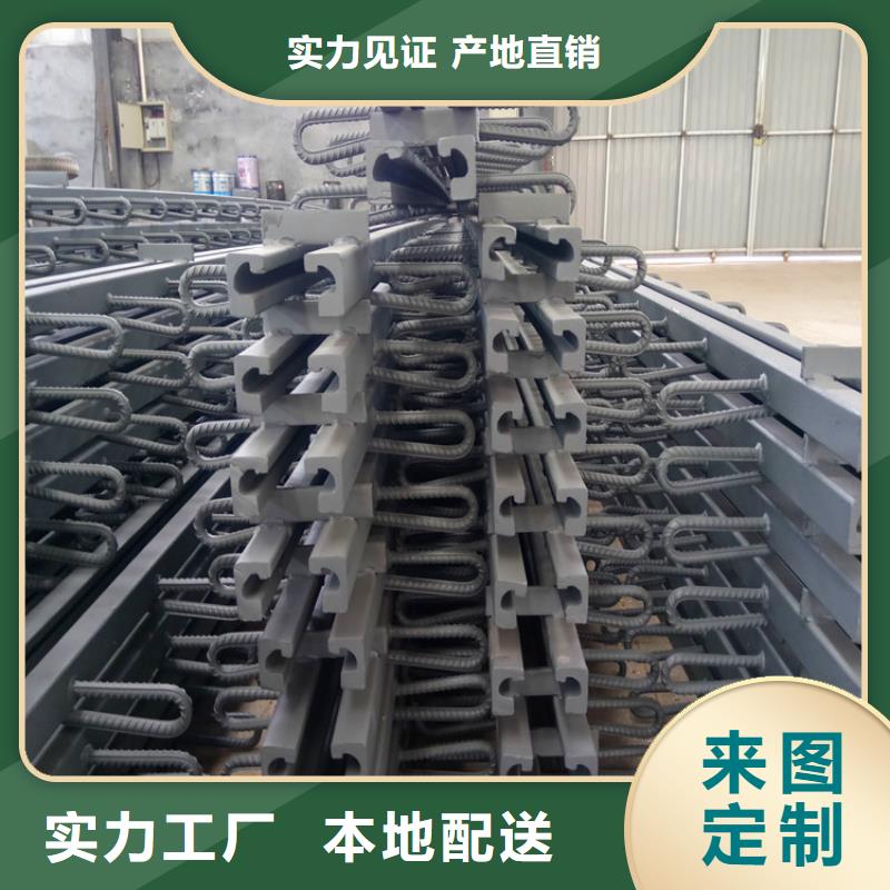 FSS80型桥梁伸缩装置-接受定制物美价优