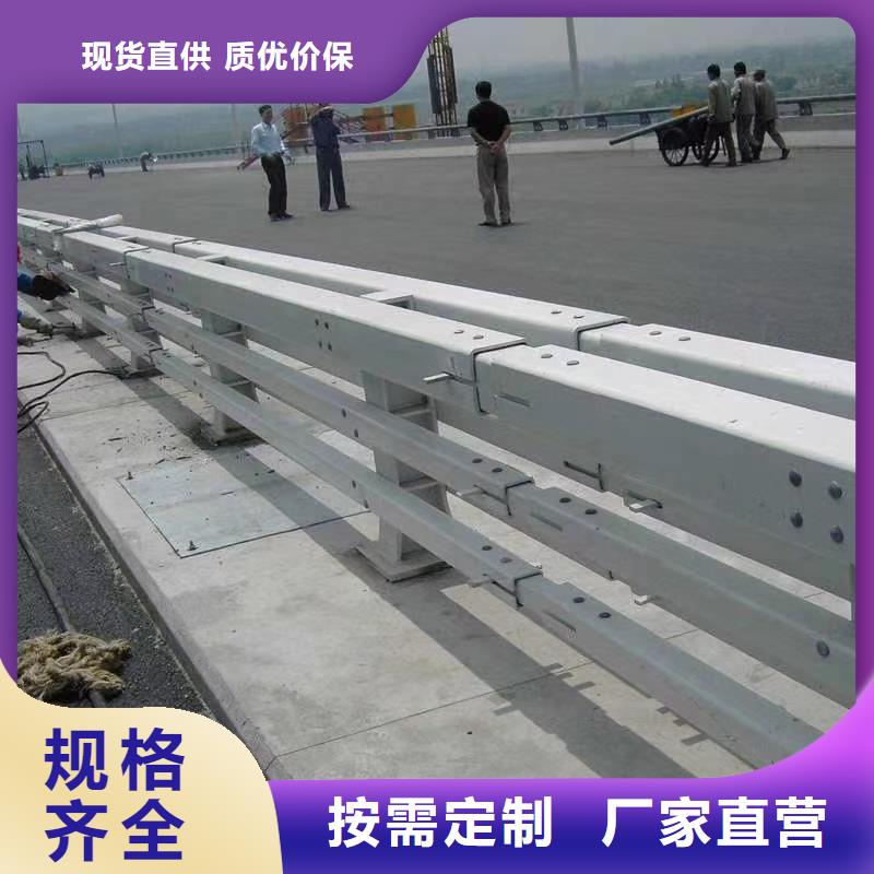 防撞护栏品质保证热销产品