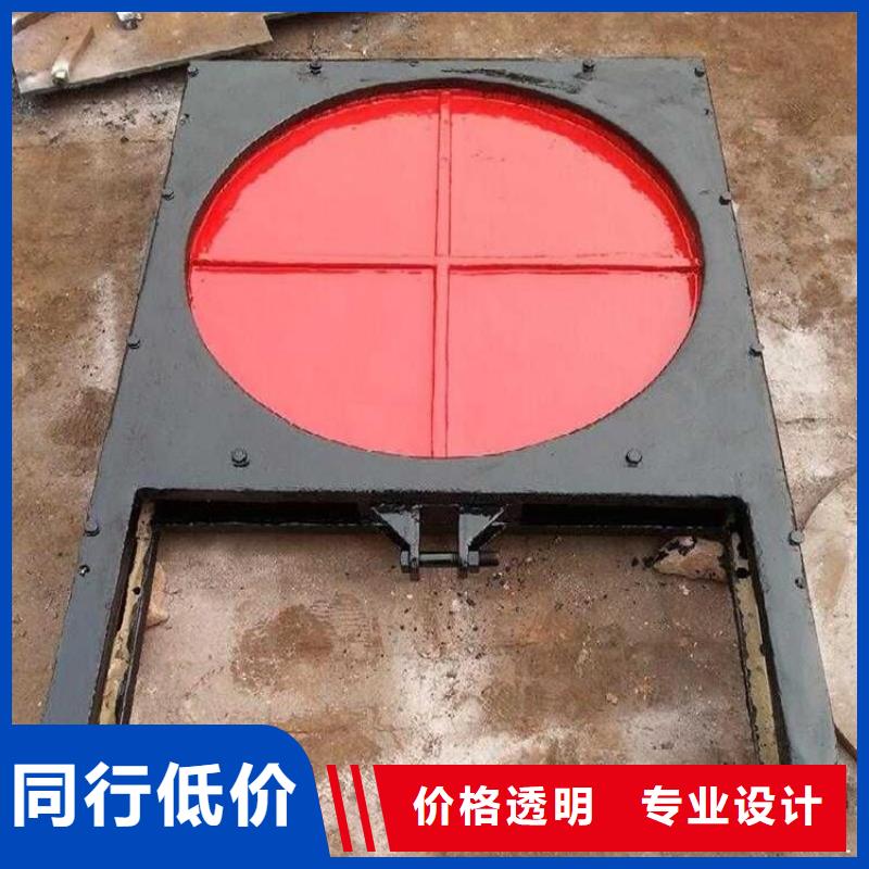 双向铸铁闸门现货供应本地制造商