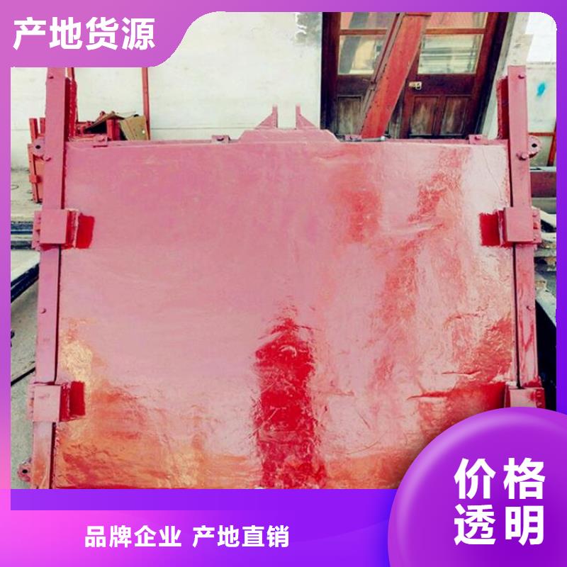 铸铁镶铜闸门公司品质优选