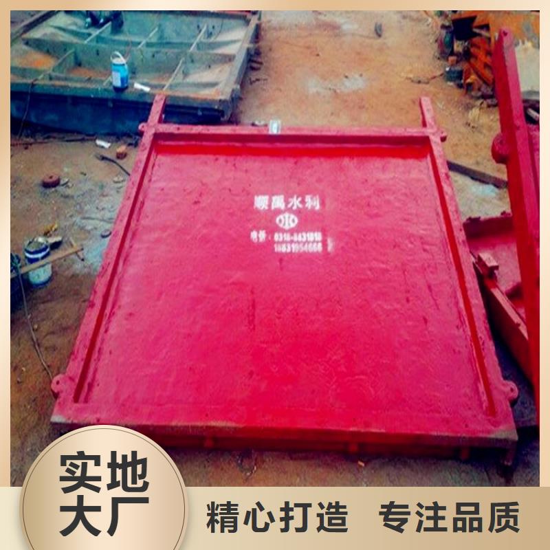 【铸铁闸门-玻璃钢拍门畅销本地】买的放心