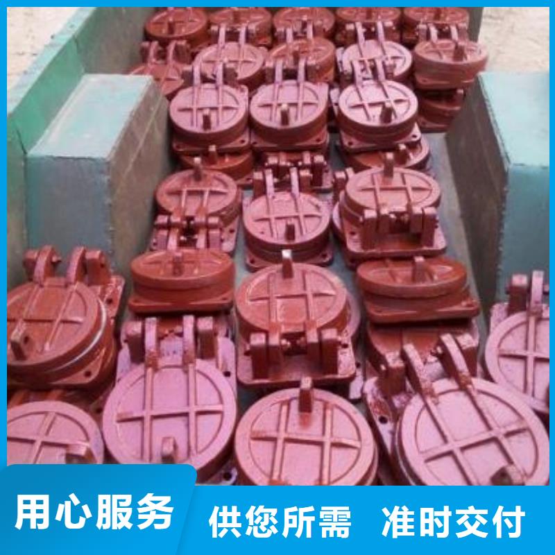 拍门,【铸铁闸门厂家】产地直销订购