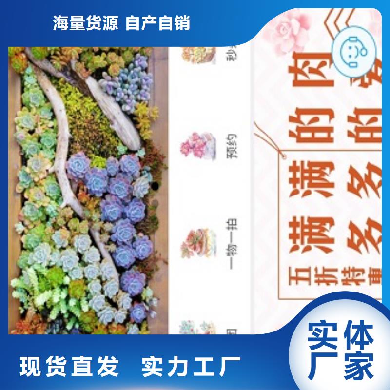 小程序平台商城制作本地生产厂家