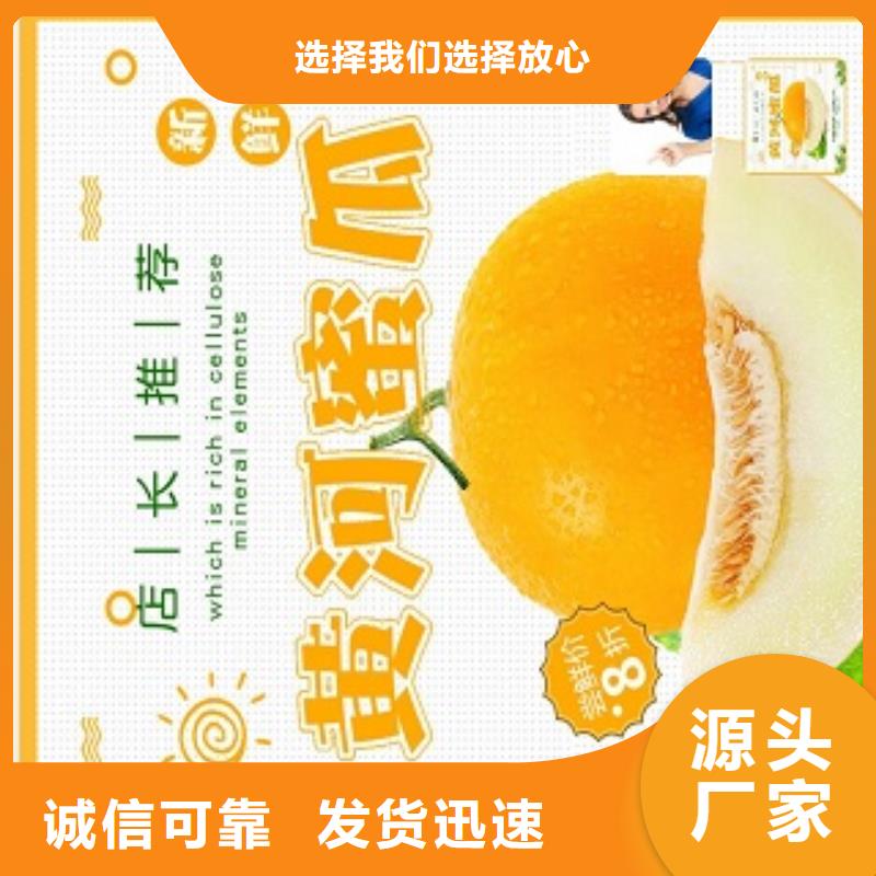 小程序制作-小程序开发质量为本现货直供