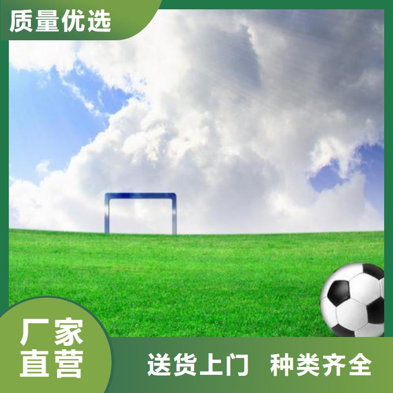 塑胶跑道_学校体育场细节之处更加用心本地厂家