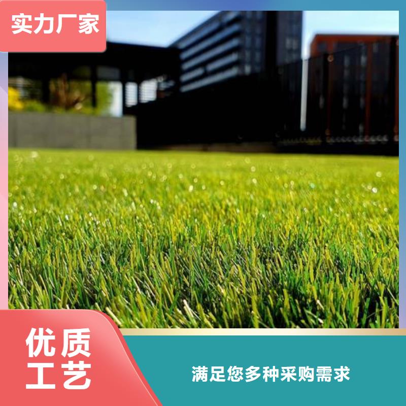 运动场塑胶跑道施工今日行情购买的是放心