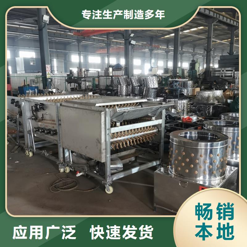 鸽子脱毛机图片出厂价格厂家同城制造商