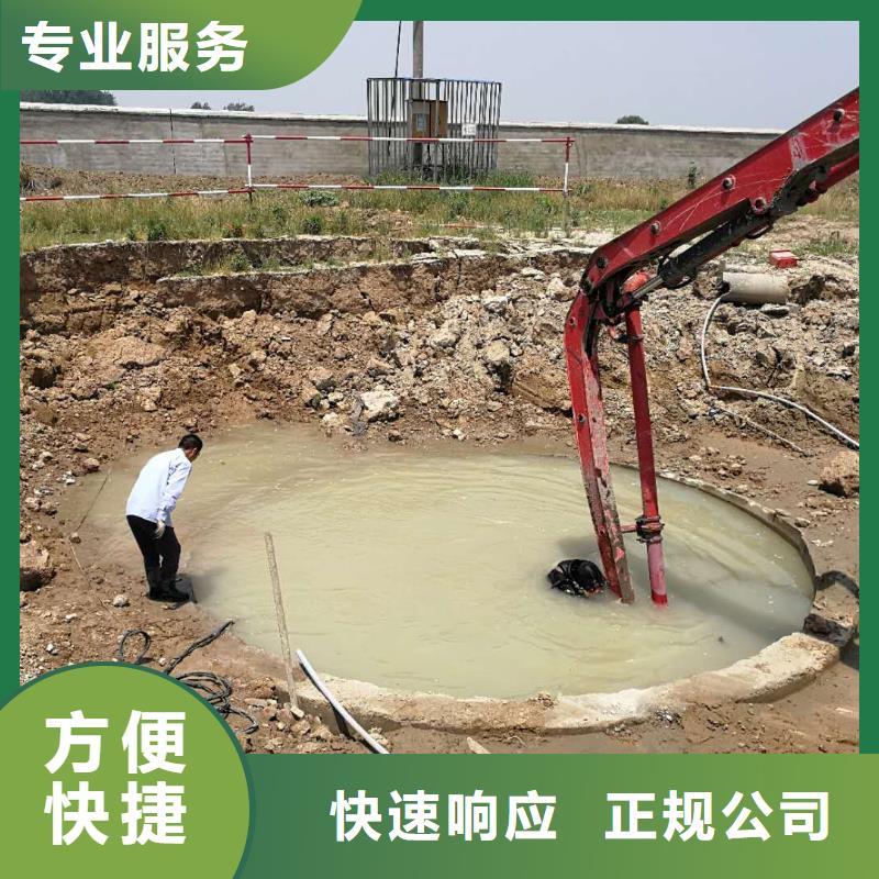 水下桥桩录像检测专业潜水队伍同城厂家