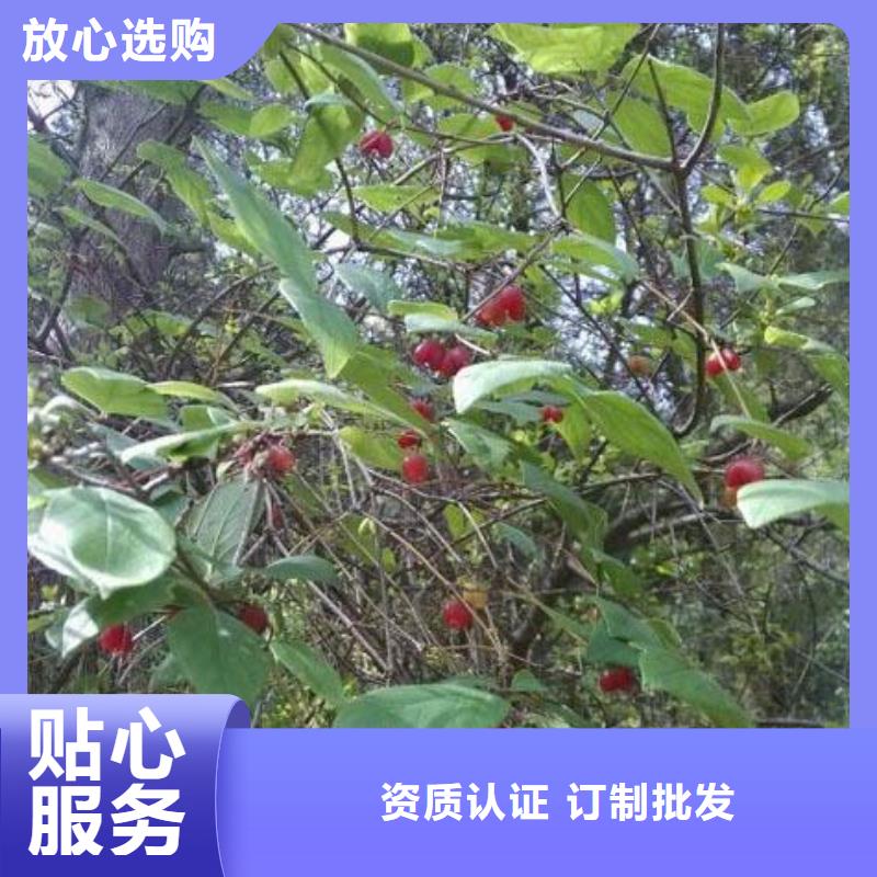 健身果苗采摘园同城品牌