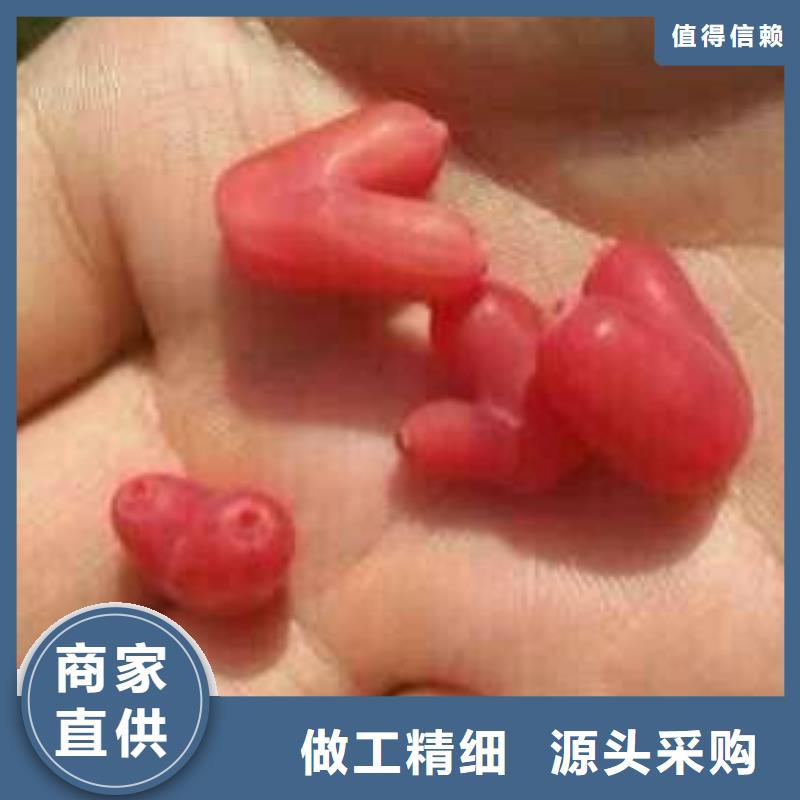 爱情果苗种植管理技术48小时发货
