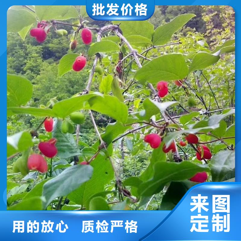 健身果批发同城品牌