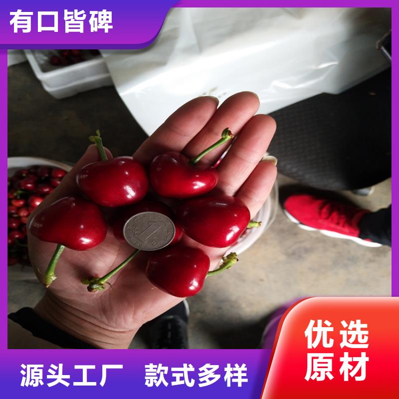 ​【樱桃_红颜草莓物美价优】同城公司