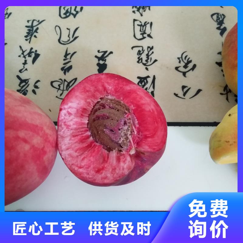 【桃樱桃苗原料层层筛选】匠心品质