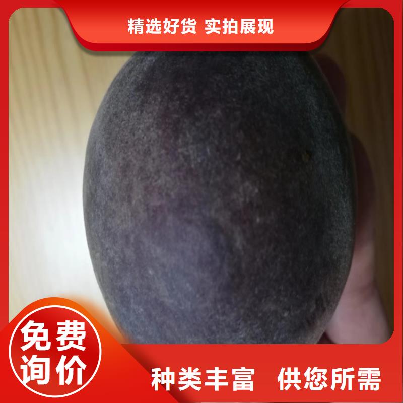 桃_樱桃苗真实拍摄品质可靠好货直供