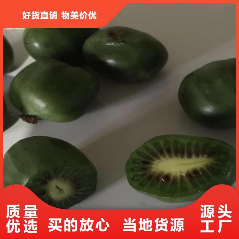 猕猴桃西瓜苗按需设计诚信经营质量保证