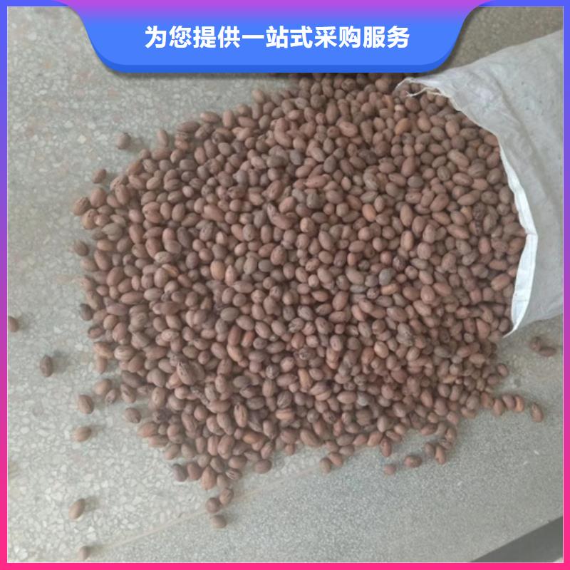 碧根果樱桃苗货到付款精工细作品质优良