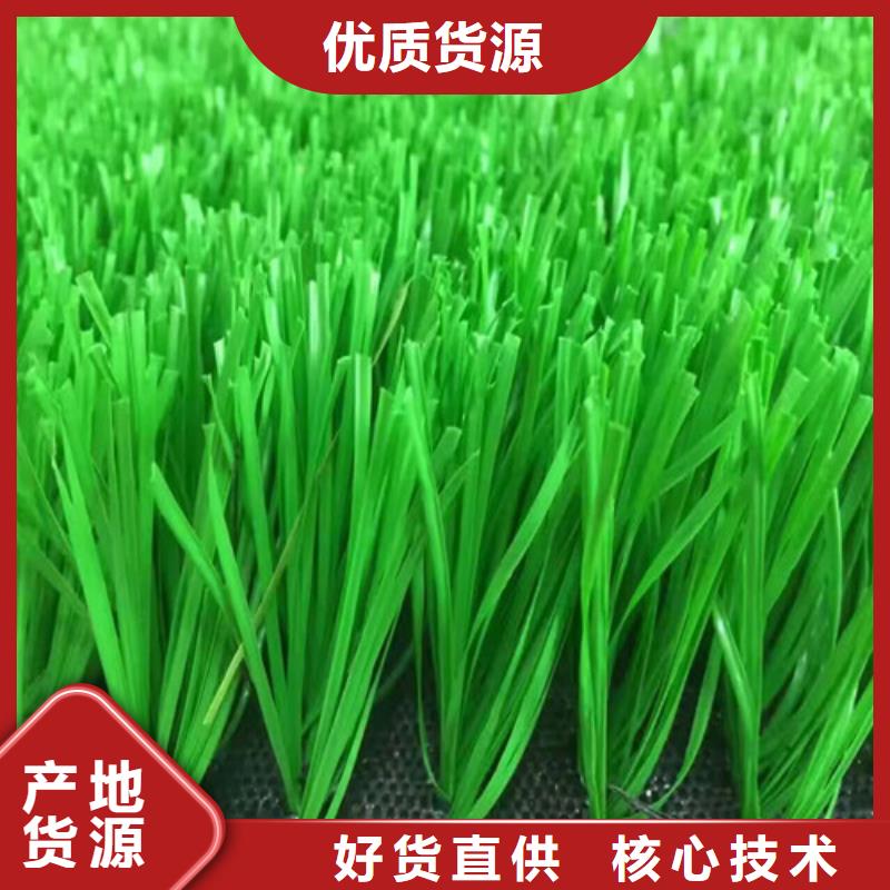 【人造草坪塑胶跑道品质服务】好厂家有担当