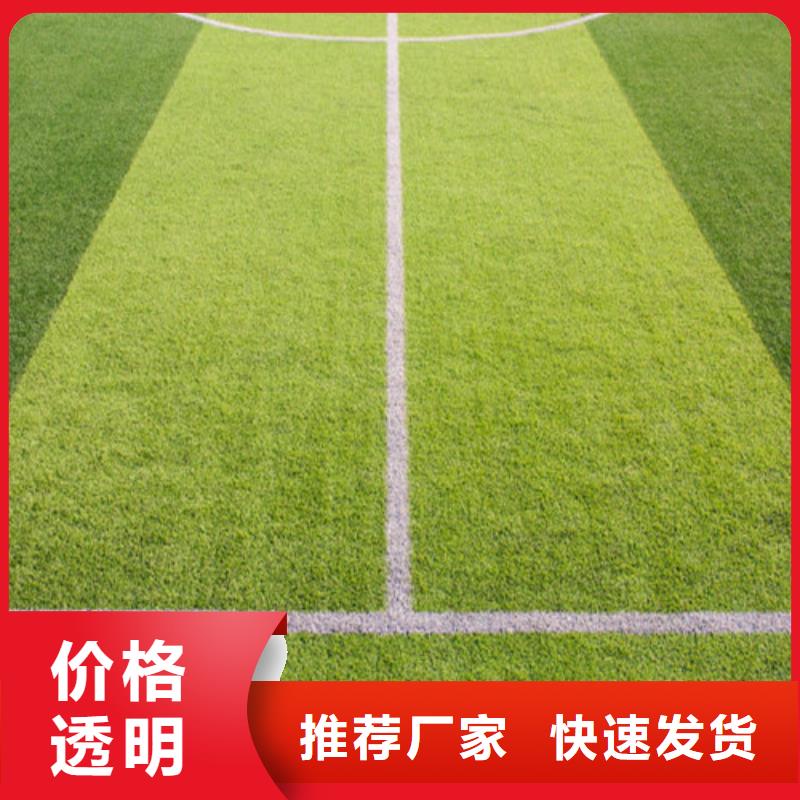人造草坪塑胶球场质量层层把关优质货源
