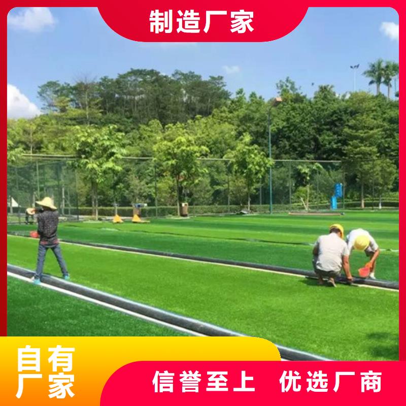 球场人造草坪厂家-型号齐全优选原材
