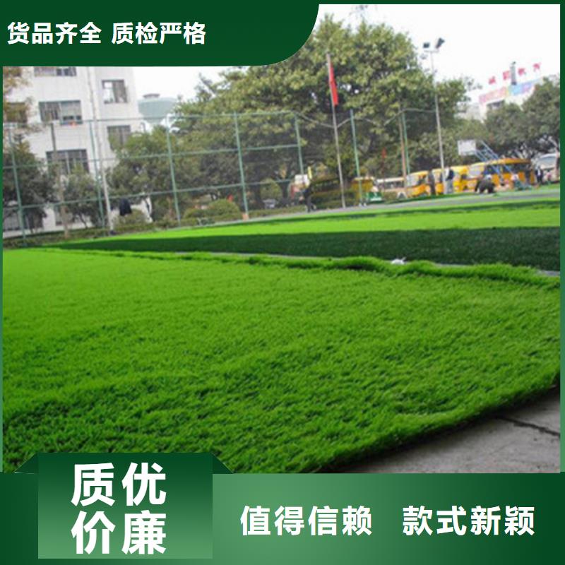 人造草坪体育塑胶运动场买的放心24小时下单发货