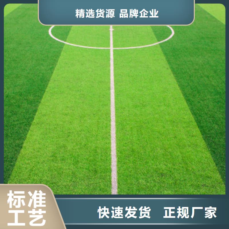 【人造草坪】体育塑胶运动场可定制当地厂家