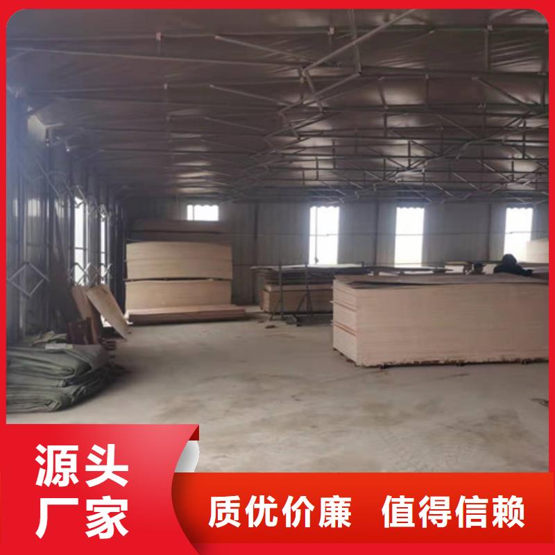 雨蓬仓储物流帐篷源头厂家经验丰富优良材质