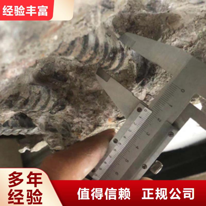 房屋房屋检测公司专业团队遵守合同