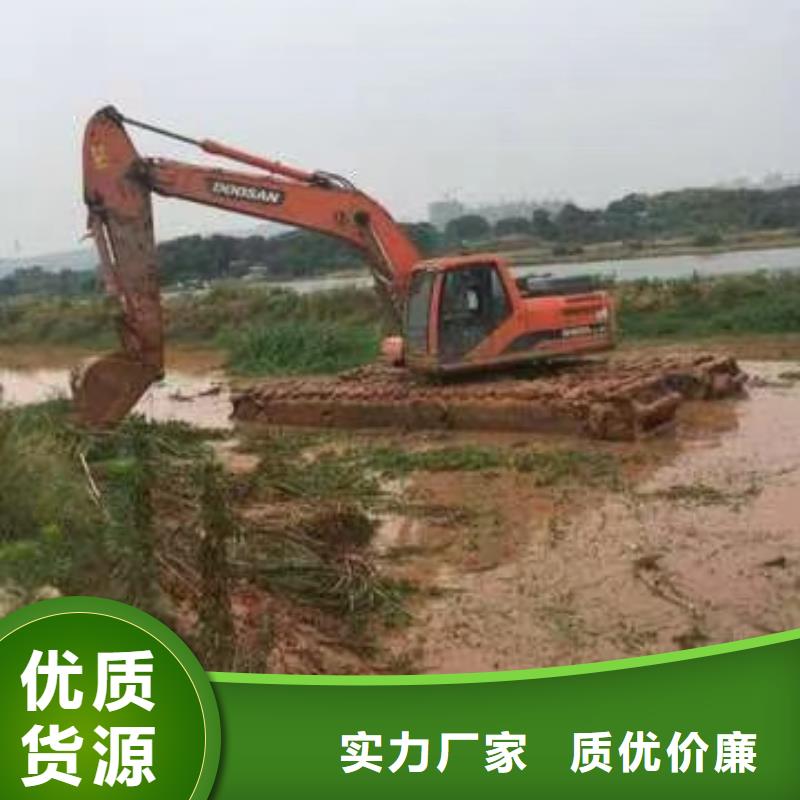 沼泽地挖掘机出租图片本地服务商