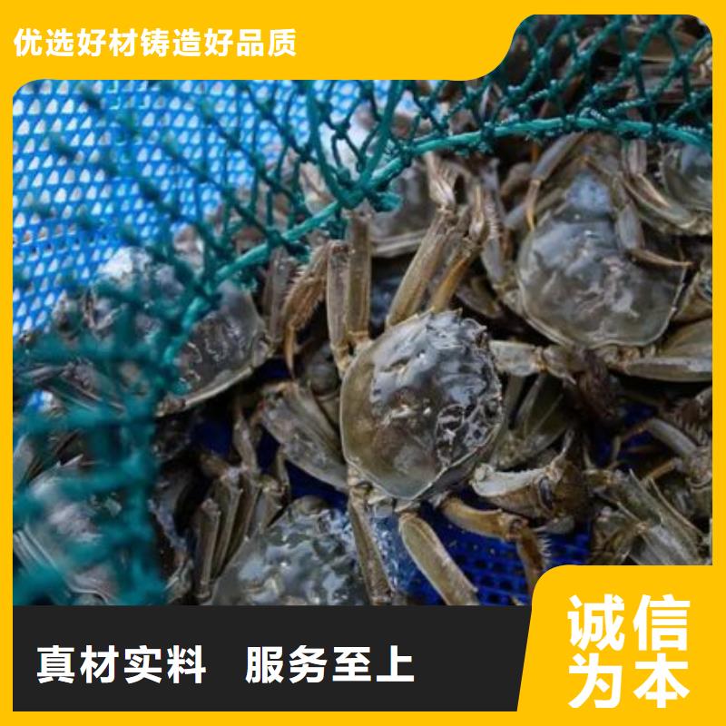 信誉好的大闸蟹厂家当地生产商