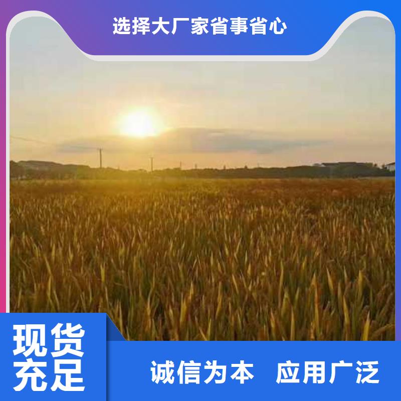 玉环县阳澄湖大闸蟹本地制造商