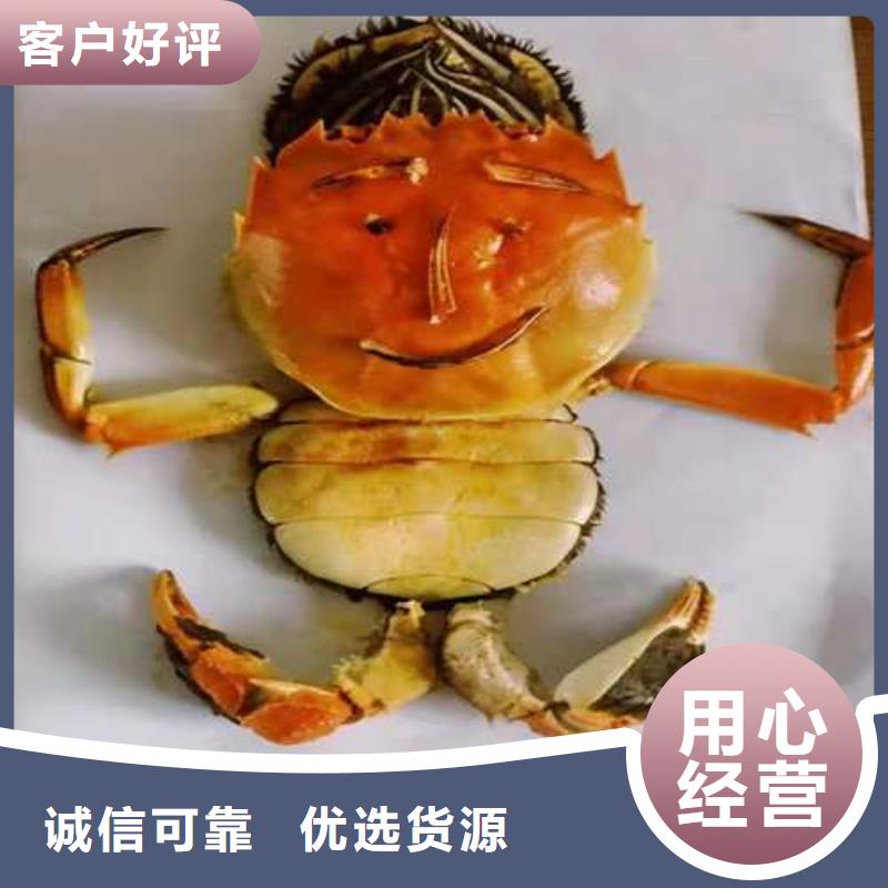 螃蟹-螃蟹货比三家当地经销商