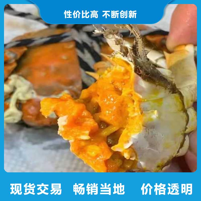 阳澄湖大闸蟹品质优选