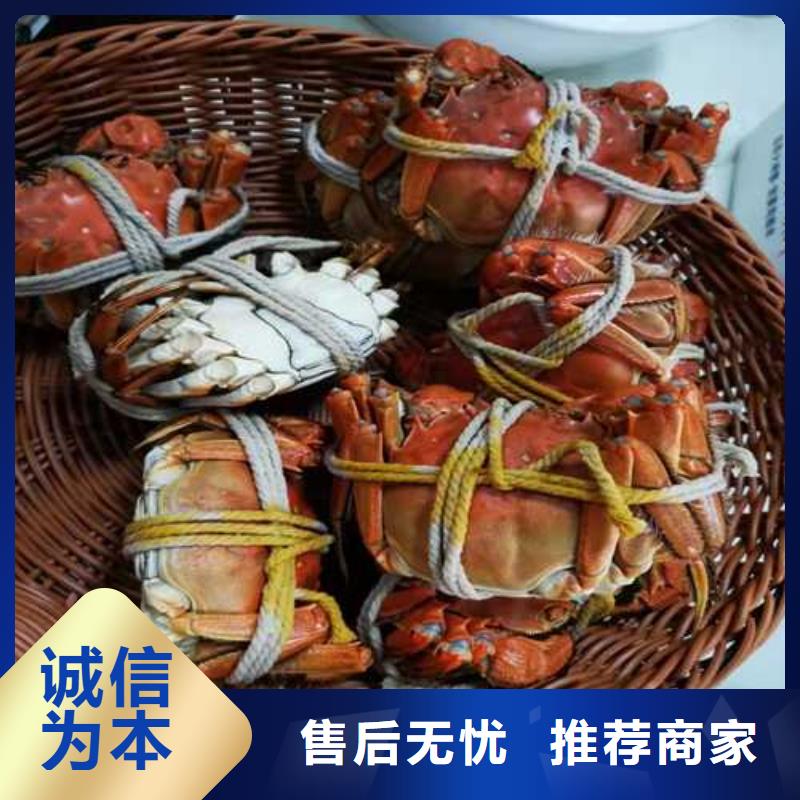 超大闸蟹公司报价本地供应商