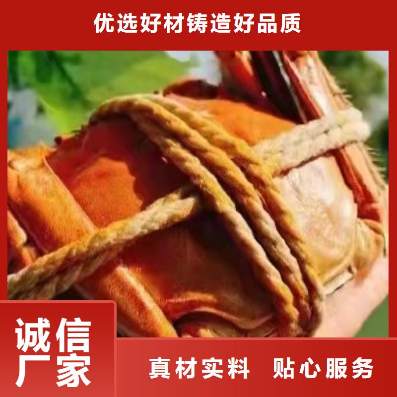 路桥区阳澄湖莲花岛农家乐现货