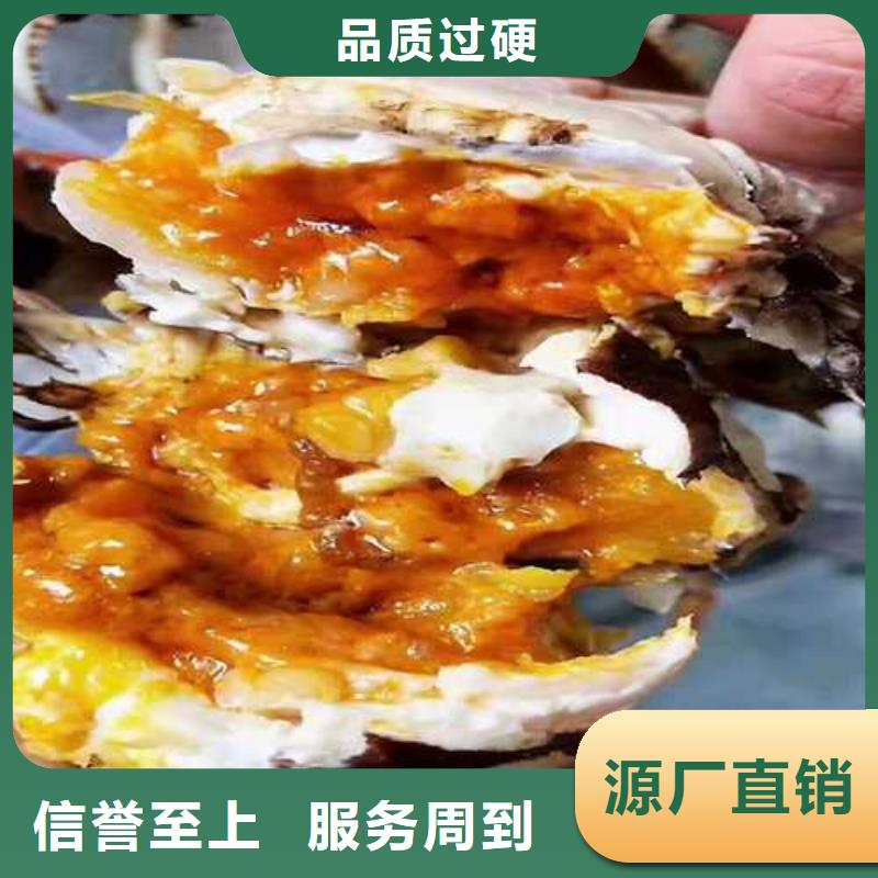 阳澄湖大闸蟹网上订购当地服务商